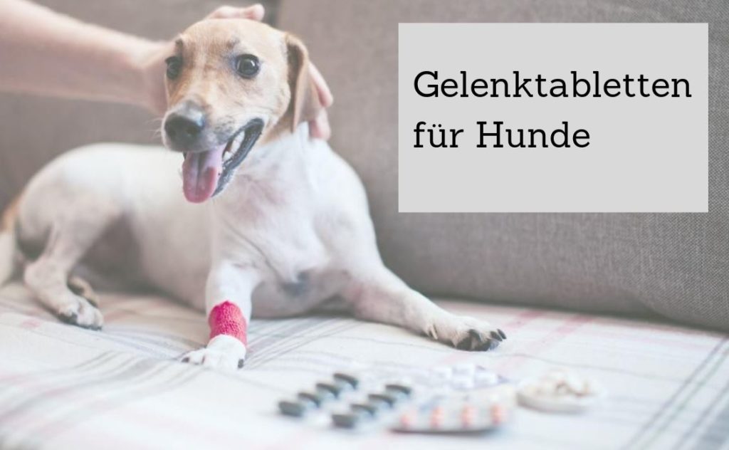 ᐅ Gelenktabletten für Hunde mit Arthrose oder Arthritis › arthrosehund.de